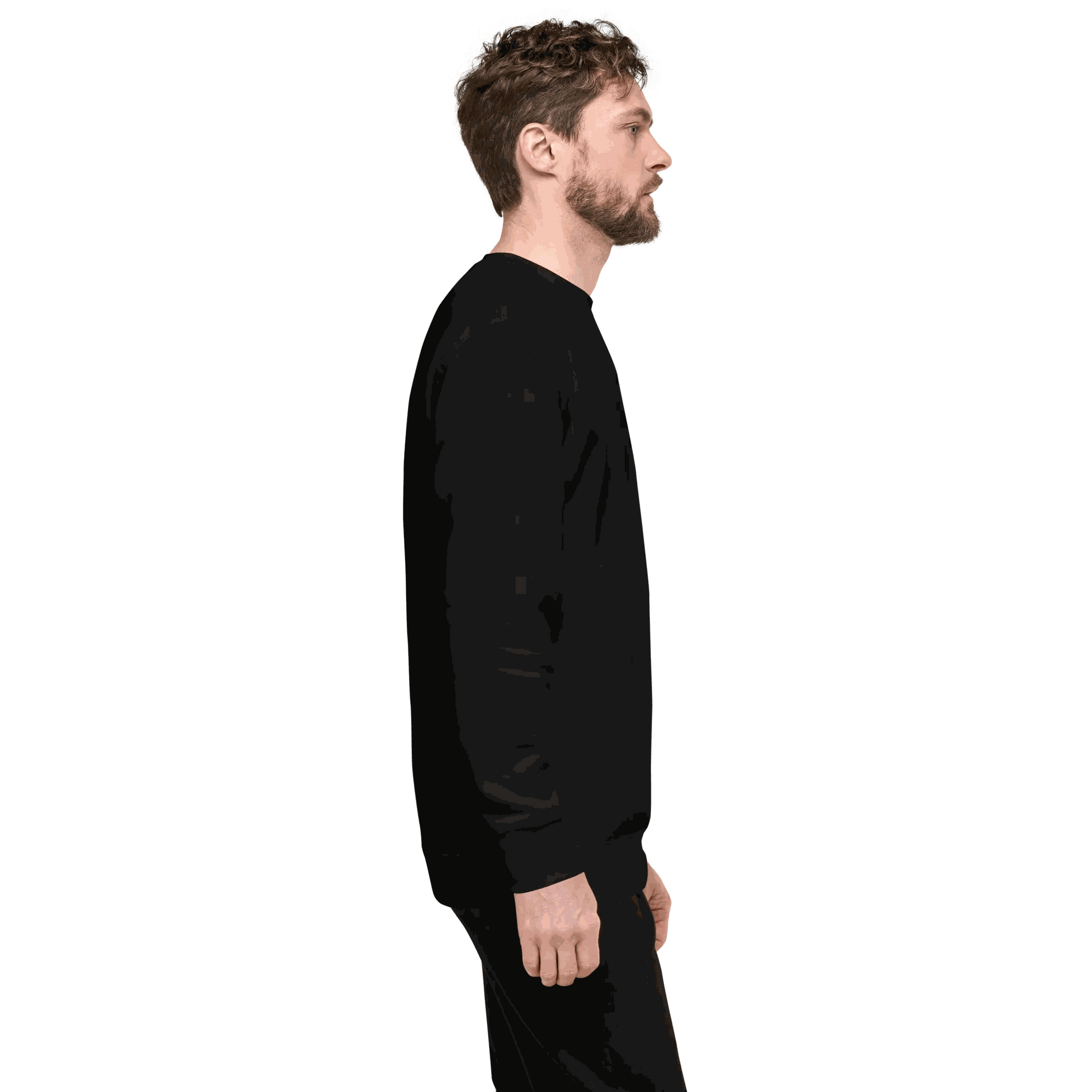corgi sweatshirt Unisex Premium Sweatshirt.