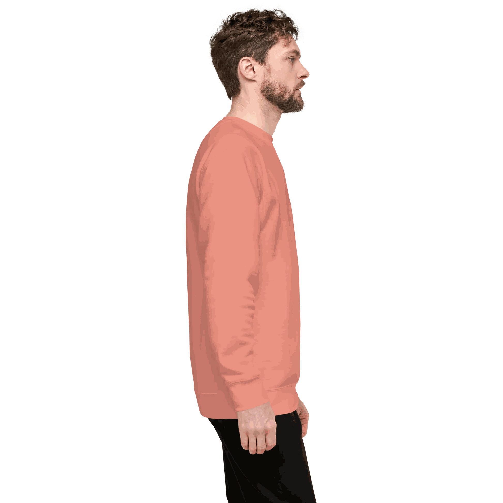 corgi sweatshirt Unisex Premium Sweatshirt.