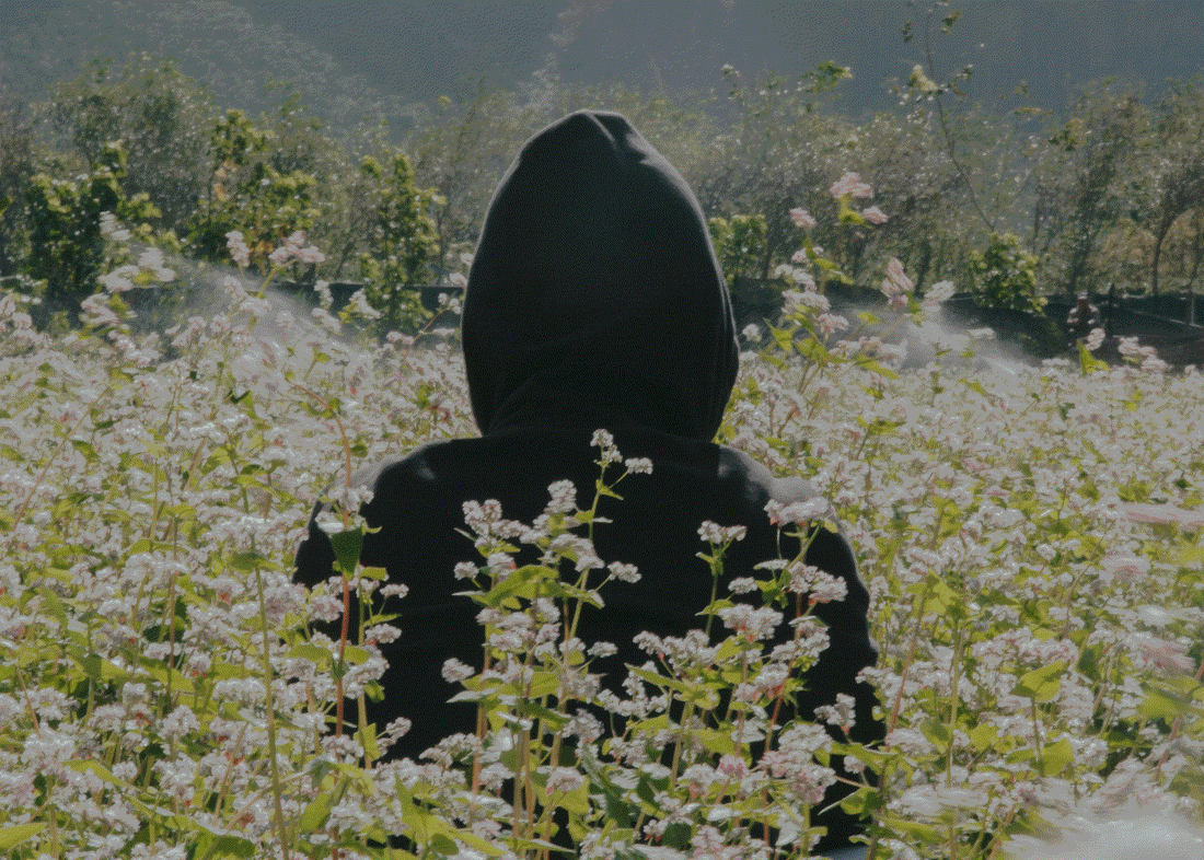 Person wearing a black hoodie standing in a field of white flowers in winter, showcasing stylish ways to wear hoodies.